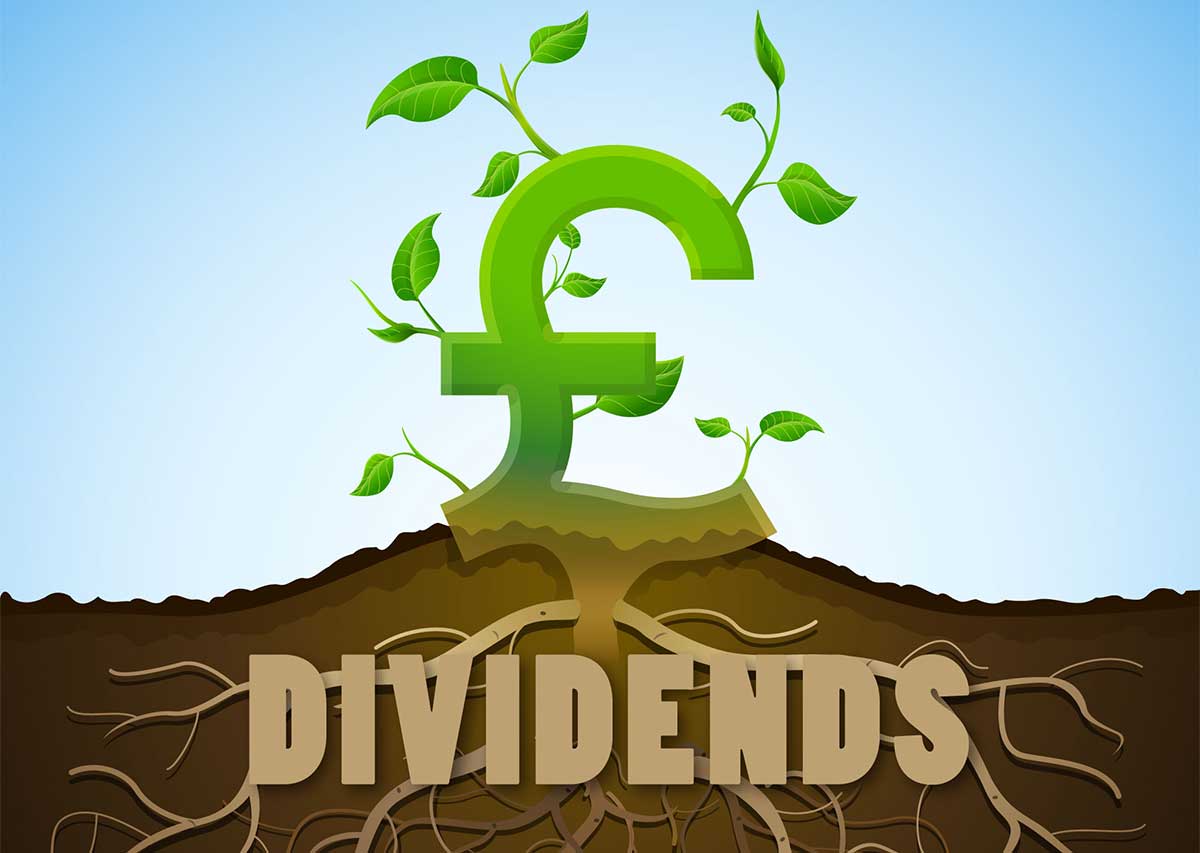 dividends