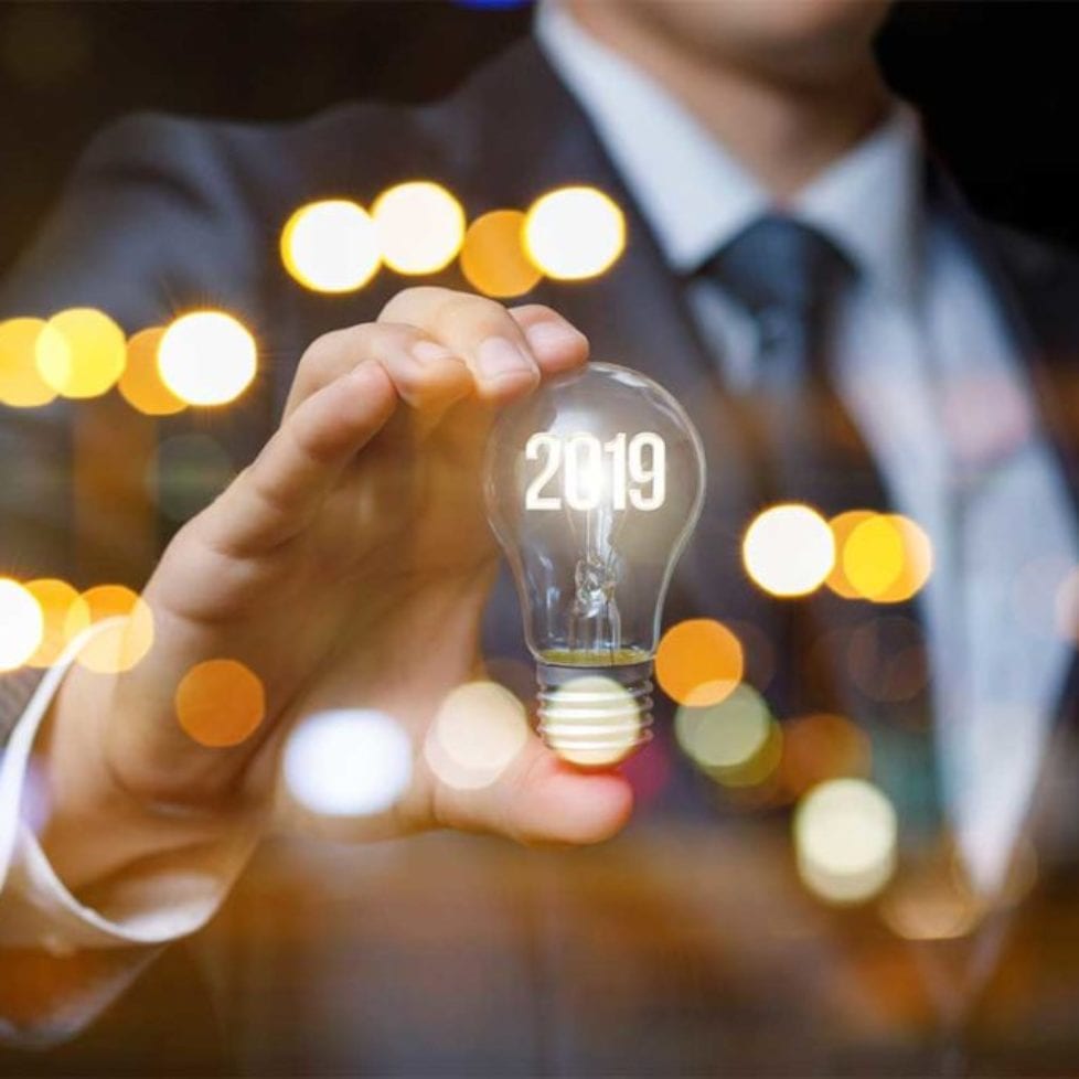 The 2019 investment year