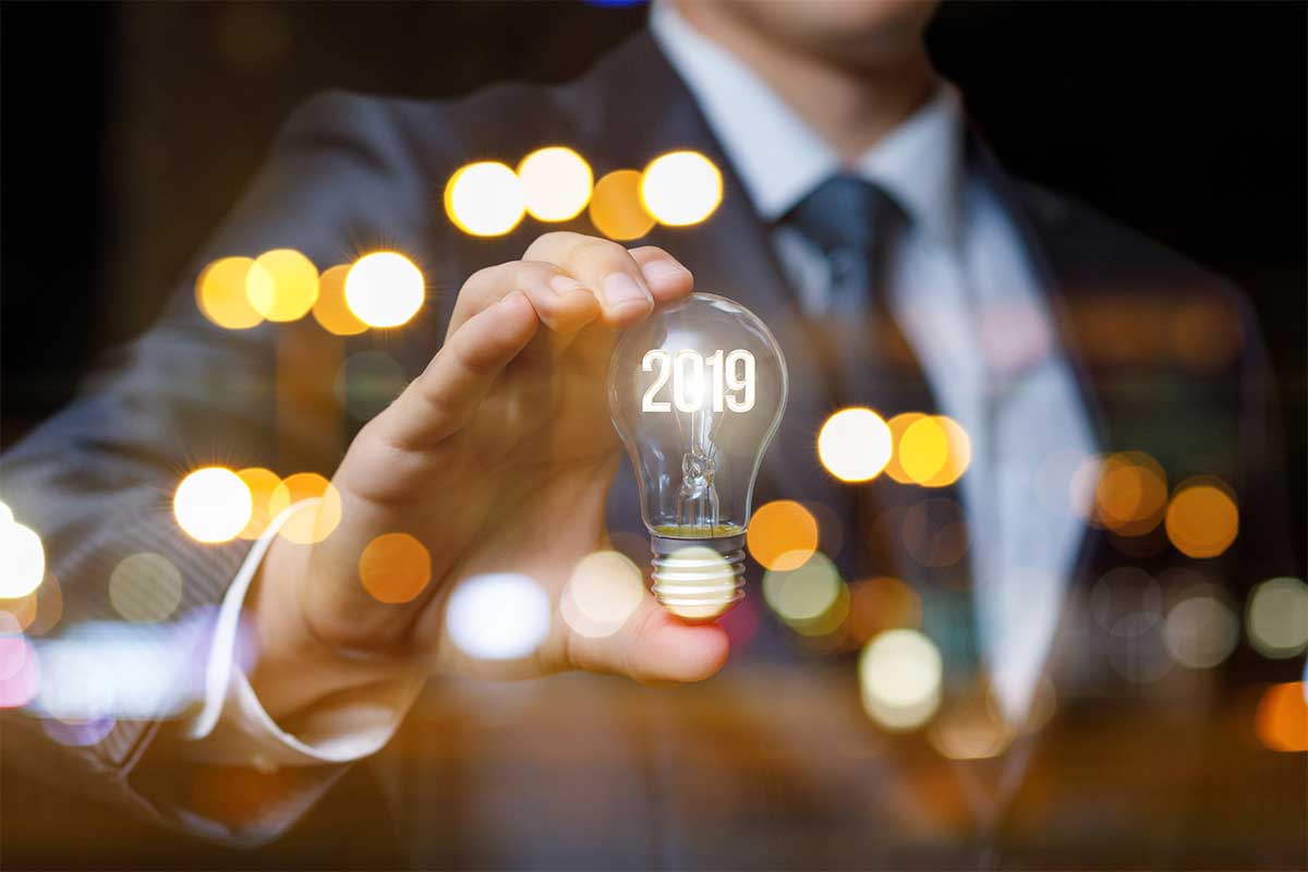 The 2019 investment year