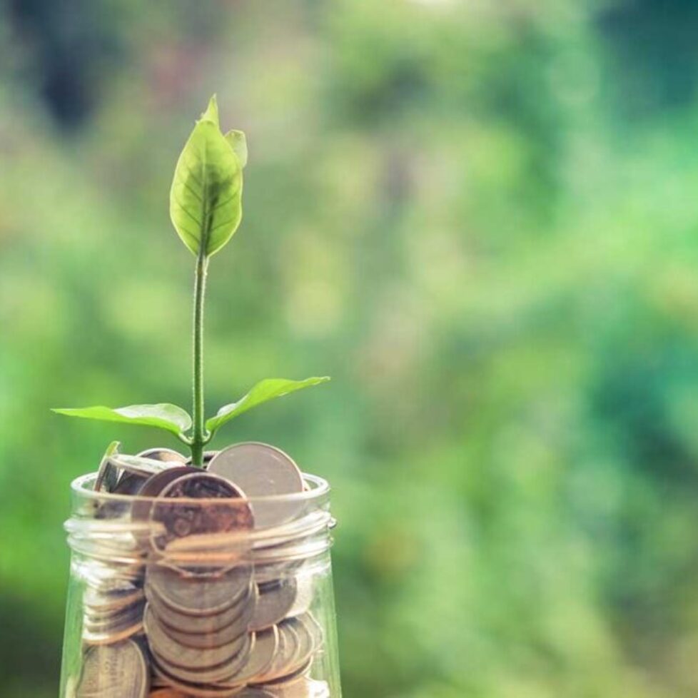 National-Savings-goes-green