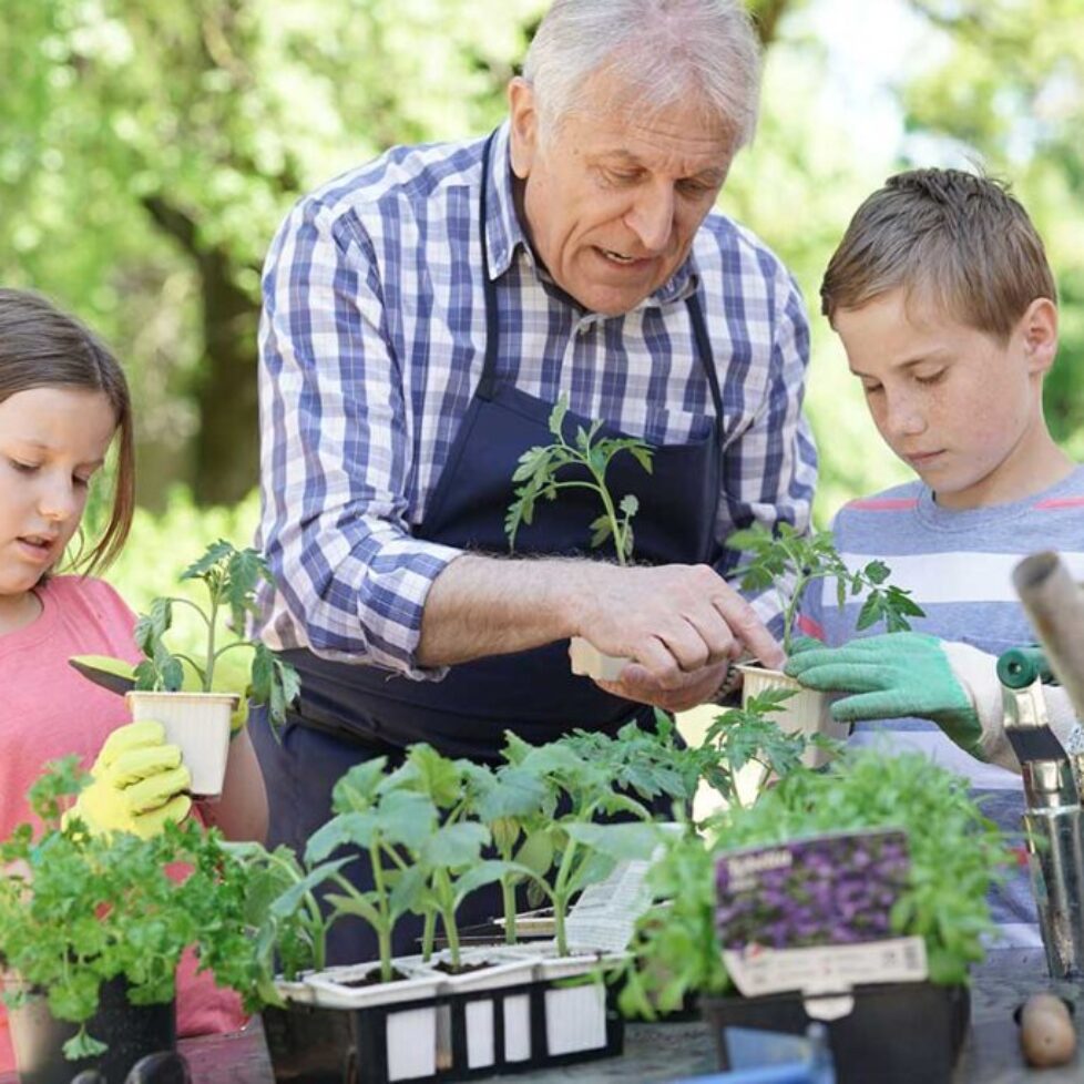 IHT gifting – a refresher